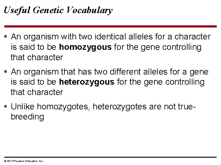 Useful Genetic Vocabulary § An organism with two identical alleles for a character is