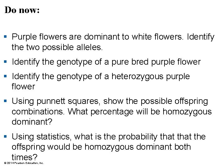 Do now: § Purple flowers are dominant to white flowers. Identify the two possible