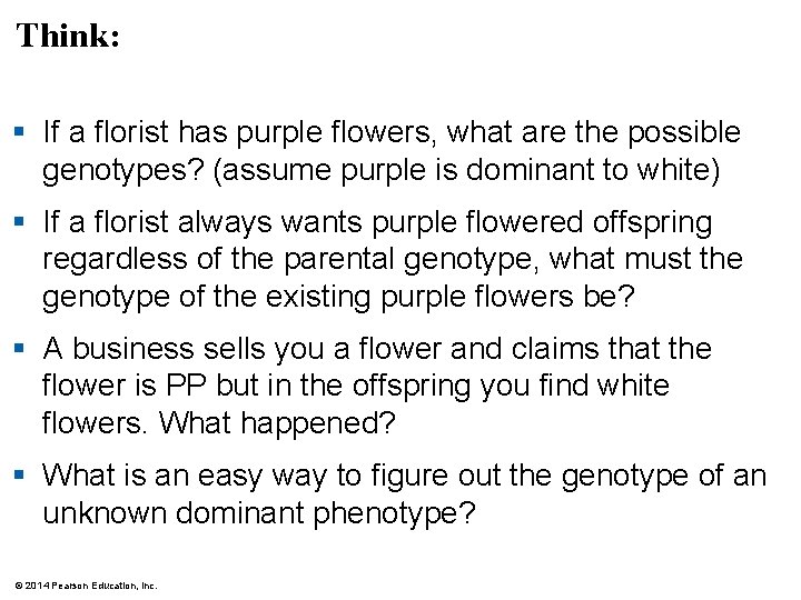 Think: § If a florist has purple flowers, what are the possible genotypes? (assume
