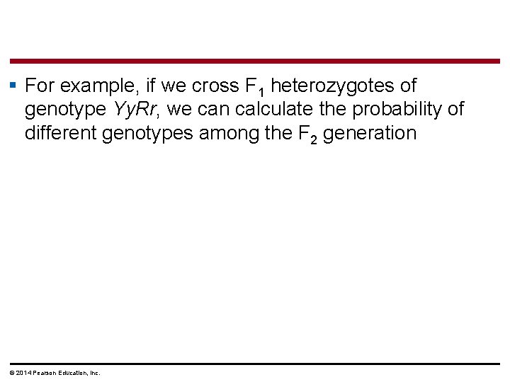§ For example, if we cross F 1 heterozygotes of genotype Yy. Rr, we