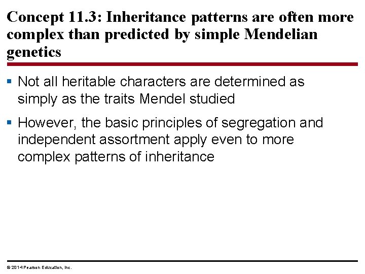 Concept 11. 3: Inheritance patterns are often more complex than predicted by simple Mendelian
