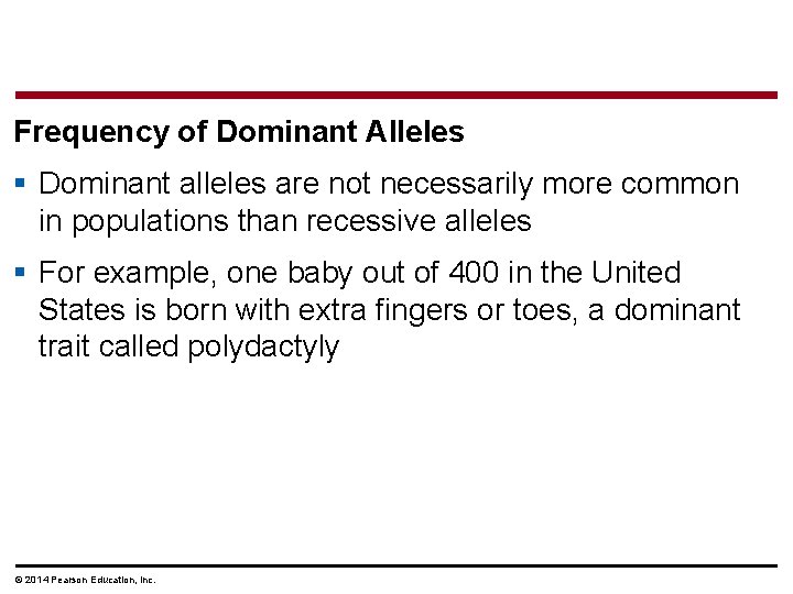 Frequency of Dominant Alleles § Dominant alleles are not necessarily more common in populations
