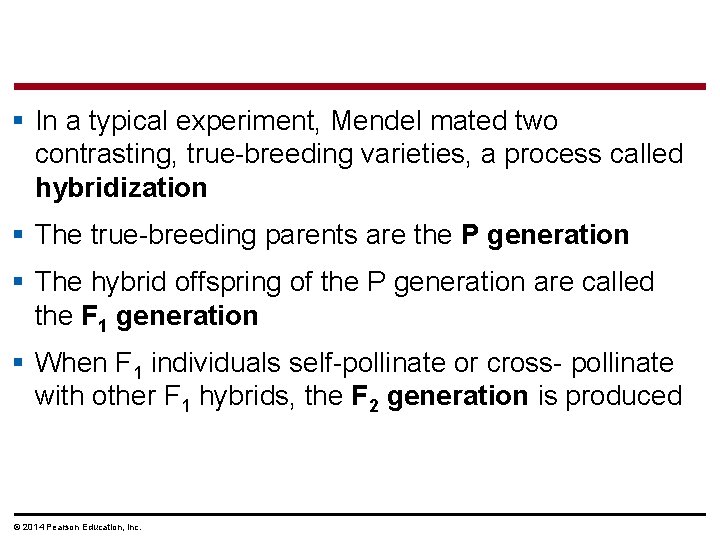§ In a typical experiment, Mendel mated two contrasting, true-breeding varieties, a process called