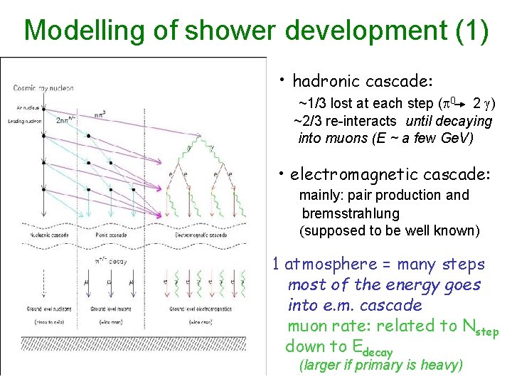 Modelling of shower development (1) • hadronic cascade: ~1/3 lost at each step (p