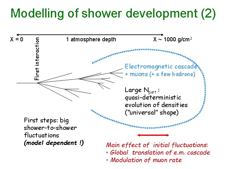 X=0 First interaction Modelling of shower development (2) 1 atmosphere depth First steps: big