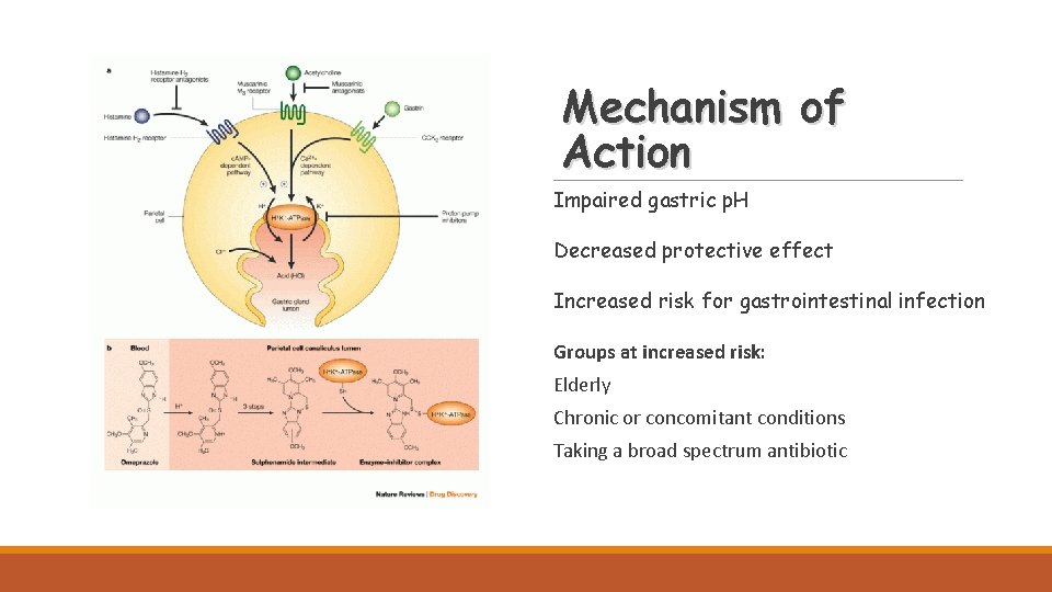 Mechanism of Action Impaired gastric p. H Decreased protective effect Increased risk for gastrointestinal