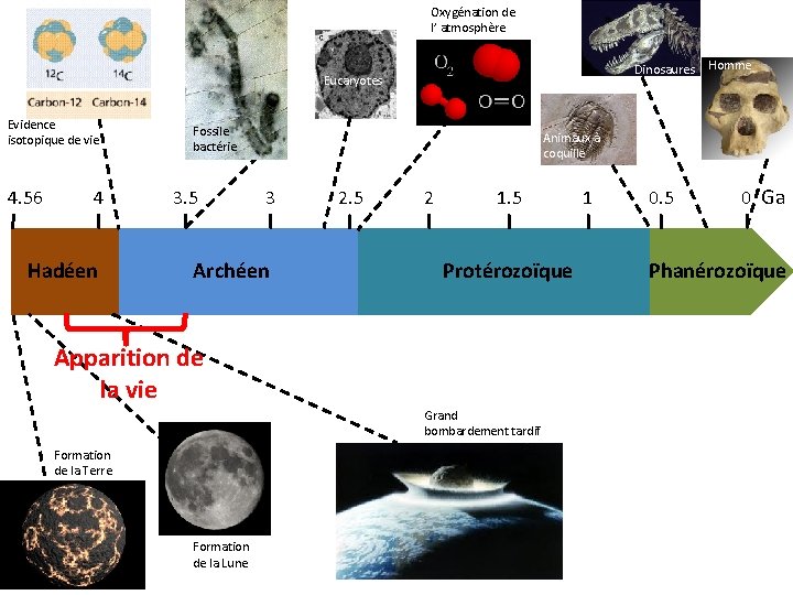 Oxygénation de l’ atmosphère Dinosaures Eucaryotes Evidence isotopique de vie 4. 56 4 Hadéen