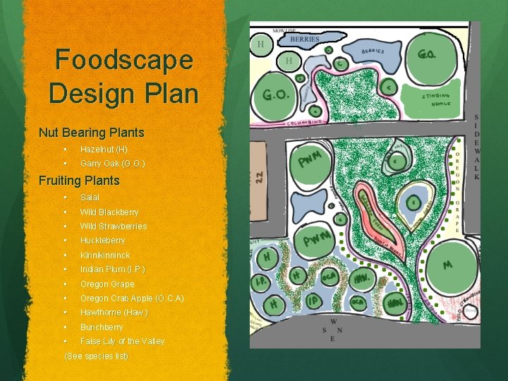 Foodscape Design Plan Nut Bearing Plants • Hazelnut (H) • Garry Oak (G. O.