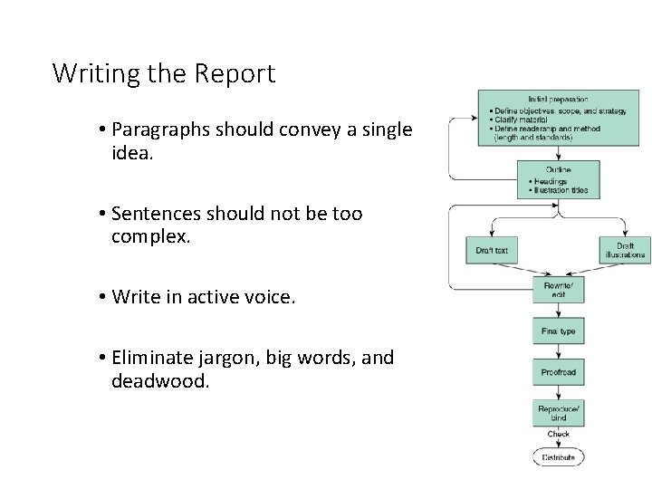 Writing the Report • Paragraphs should convey a single idea. • Sentences should not