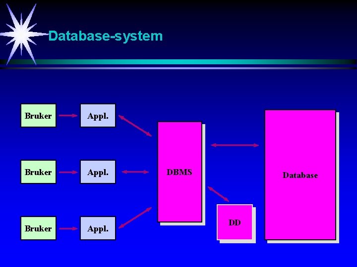 Database-system Bruker Appl. DBMS Database DD 