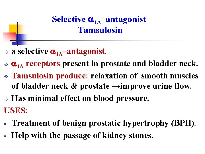 Selective 1 A–antagonist Tamsulosin a selective 1 A–antagonist. v 1 A receptors present in