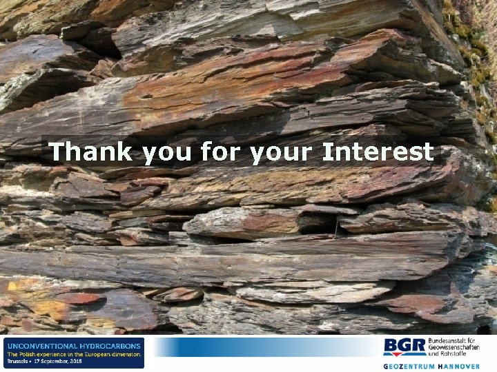 Thank you for your Interest 