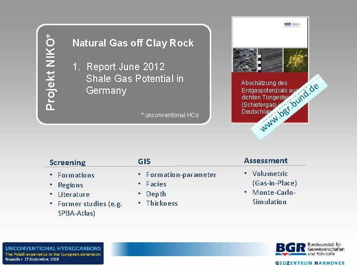 Projekt NIKO* Natural Gas off Clay Rock 1. Report June 2012 Shale Gas Potential