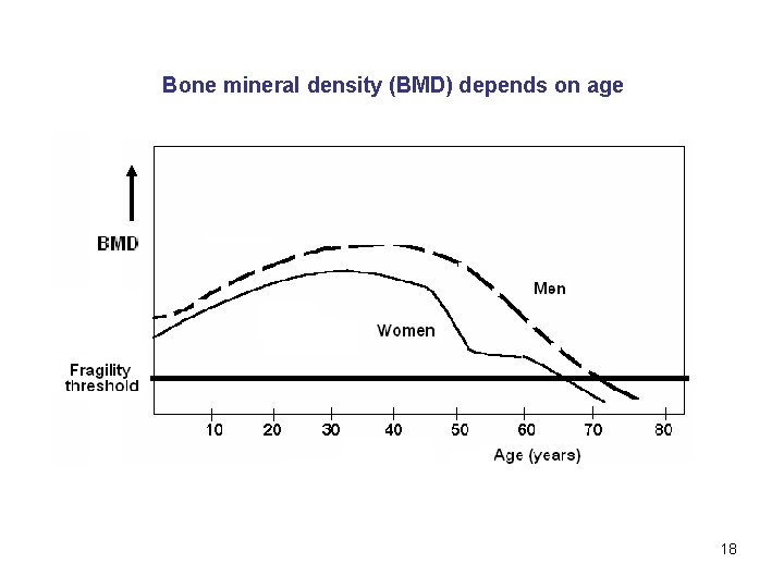 Bone mineral density (BMD) depends on age 18 