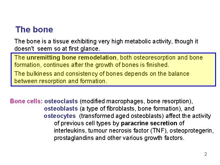 The bone is a tissue exhibiting very high metabolic activity, though it doesn't seem