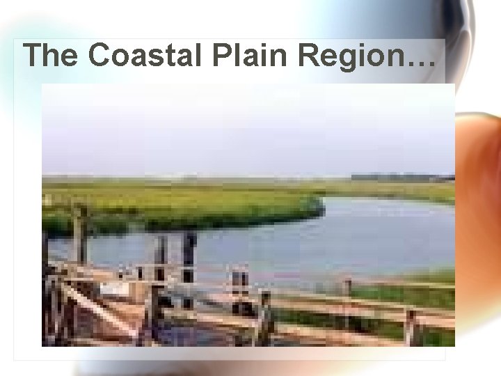 The Coastal Plain Region… 