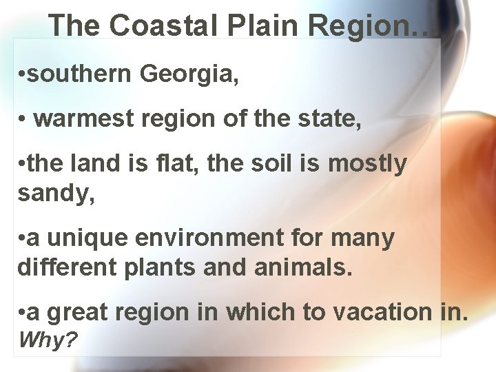 The Coastal Plain Region… • southern Georgia, • warmest region of the state, •