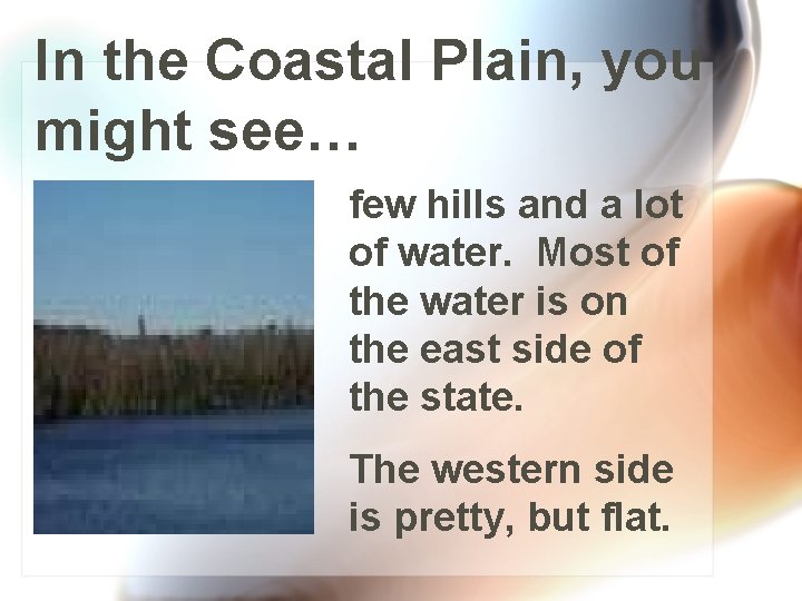 In the Coastal Plain, you might see… few hills and a lot of water.