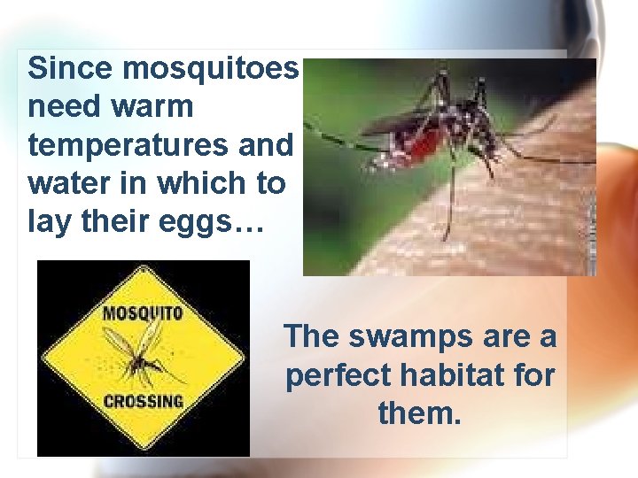 Since mosquitoes need warm temperatures and water in which to lay their eggs… The