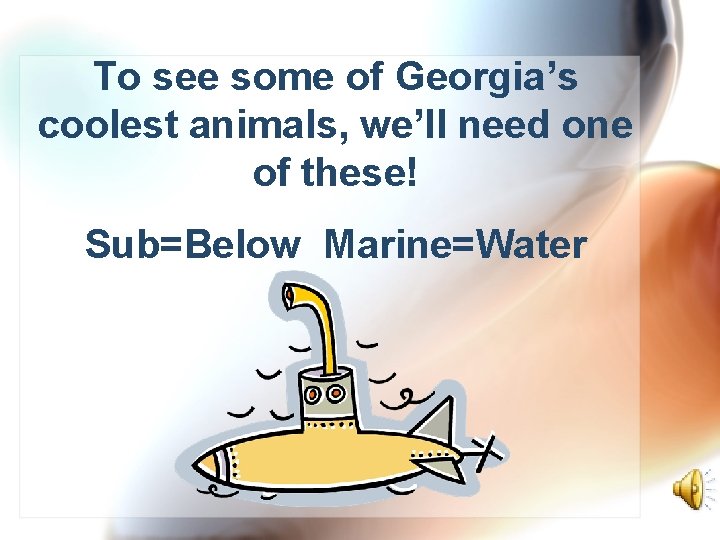 To see some of Georgia’s coolest animals, we’ll need one of these! Sub=Below Marine=Water