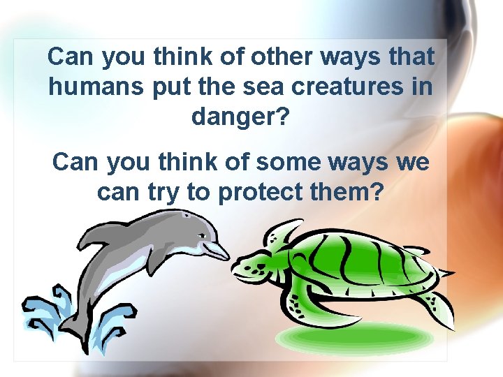 Can you think of other ways that humans put the sea creatures in danger?