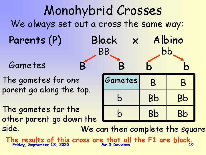 Monohybrid Crosses We always set out a cross the same way: Parents (P) Gametes