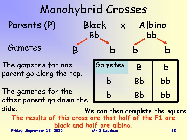 Monohybrid Crosses Parents (P) Gametes Black x Bb B The gametes for one parent