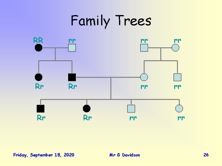 Family Trees RR rr rr rr Rr Rr rr rr Rr Friday, September 18,