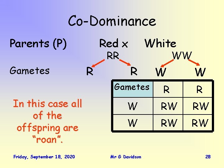 Co-Dominance Parents (P) Gametes Red x White RR R WW R Gametes In this