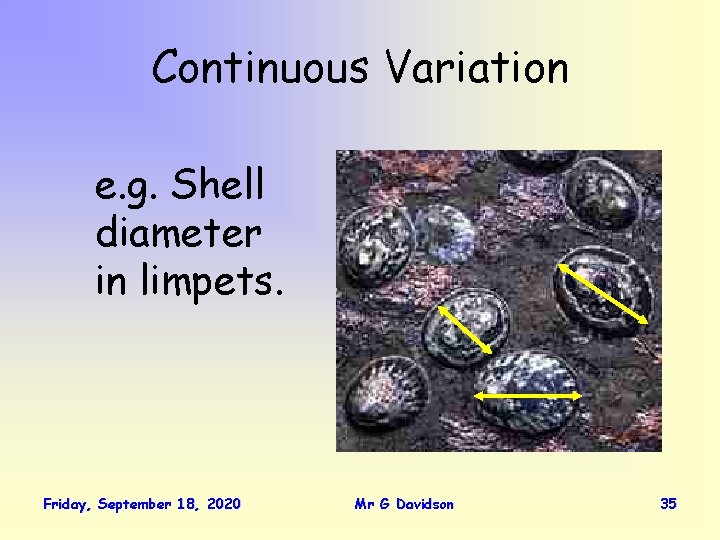 Continuous Variation e. g. Shell diameter in limpets. Friday, September 18, 2020 Mr G