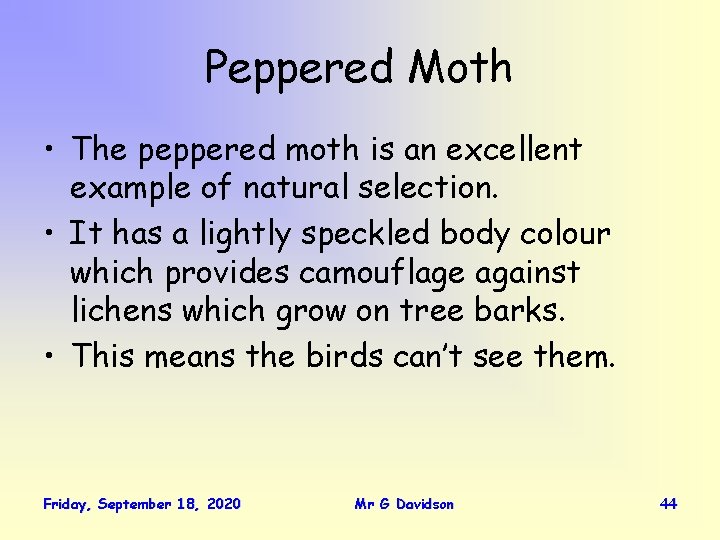 Peppered Moth • The peppered moth is an excellent example of natural selection. •