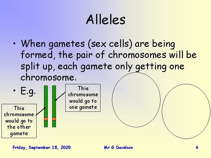 Alleles • When gametes (sex cells) are being formed, the pair of chromosomes will