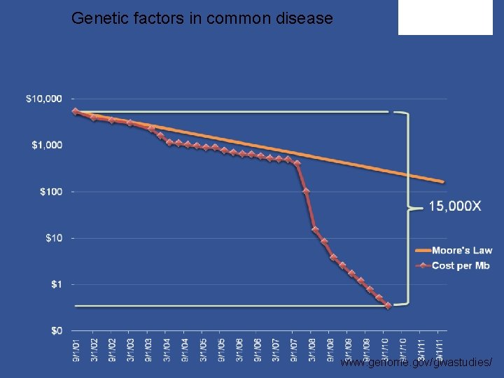 Genetic factors in common disease www. genome. gov/gwastudies/ 