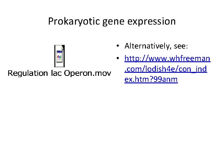 Prokaryotic gene expression • Alternatively, see: • http: //www. whfreeman. com/lodish 4 e/con_ind ex.
