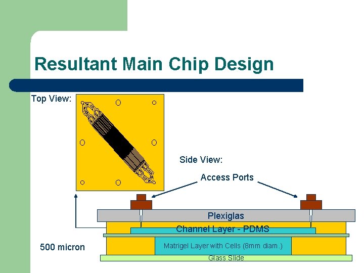 Resultant Main Chip Design Top View: Side View: Access Ports Plexiglas Channel Layer -