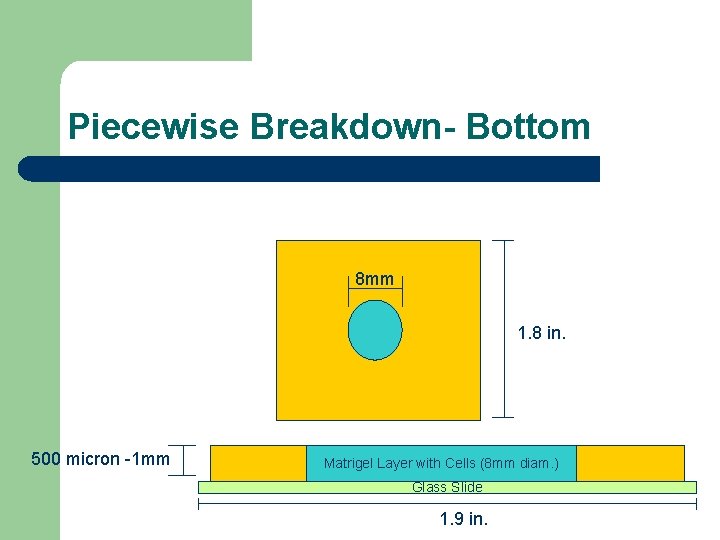 Piecewise Breakdown- Bottom 8 mm 1. 8 in. 500 micron -1 mm Matrigel Layer