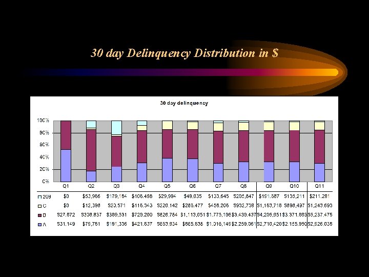 30 day Delinquency Distribution in $ 