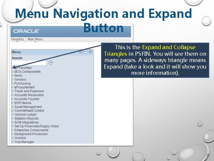 Menu Navigation and Expand Button This is the Expand Collapse Triangles in PSFIN. You