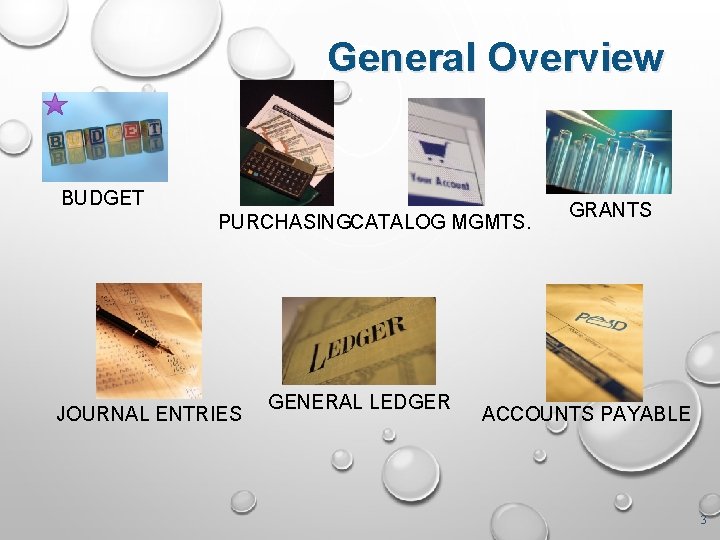 General Overview BUDGET PURCHASINGCATALOG MGMTS. JOURNAL ENTRIES GENERAL LEDGER GRANTS ACCOUNTS PAYABLE 3 