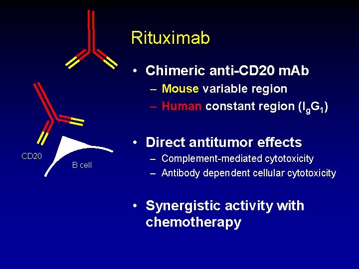 Rituximab • Chimeric anti-CD 20 m. Ab – Mouse variable region – Human constant