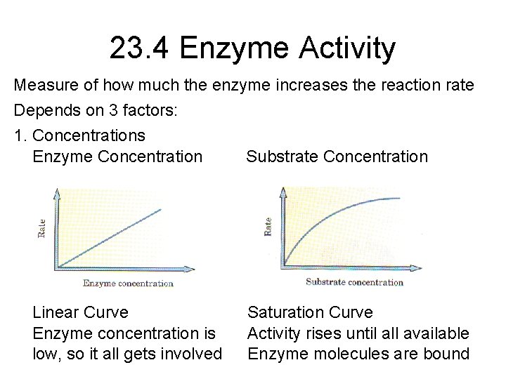 Biochemistry Chapter 23 Enzymes Problem Sets PS 1