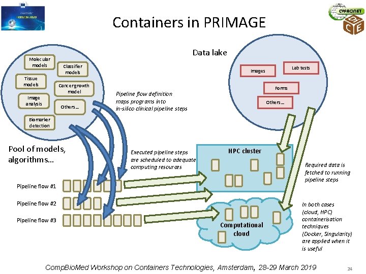 Containers in PRIMAGE Molecular models Tissue models Data lake Classifier models Cancer growth model