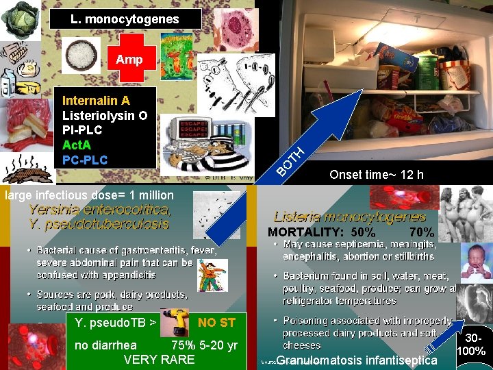 No L. monocytogenes Amp BO TH Internalin A Listeriolysin O PI-PLC Act. A PC-PLC