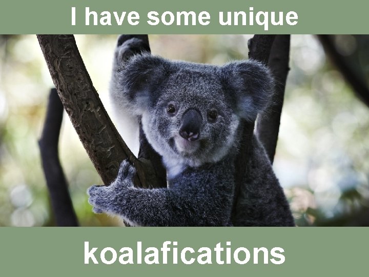 I have some unique koalafications Copyright 2018, Women’s Leadership Coaching, Inc. 