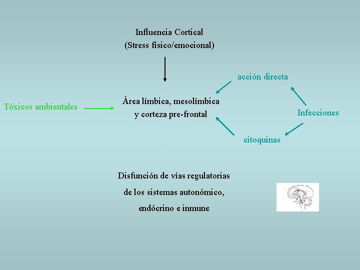 Influencia Cortical (Stress físico/emocional) acción directa Tóxicos ambientales Área límbica, mesolímbica y corteza pre-frontal