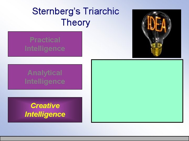 Sternberg’s Triarchic Theory Practical Intelligence Analytical Intelligence Creative Intelligence 