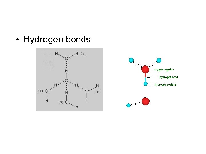 • Hydrogen bonds 