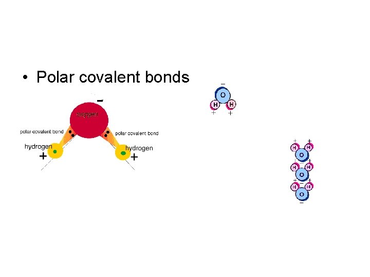 • Polar covalent bonds 