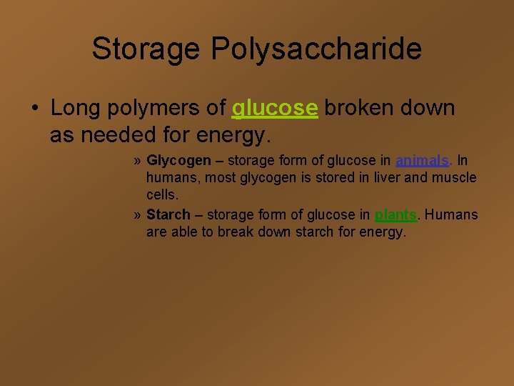 Storage Polysaccharide • Long polymers of glucose broken down as needed for energy. »