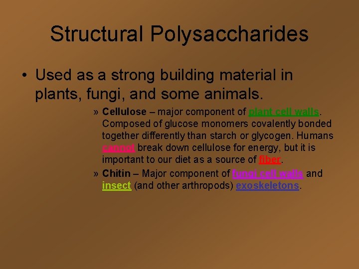 Structural Polysaccharides • Used as a strong building material in plants, fungi, and some